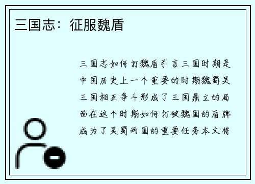 三国志：征服魏盾